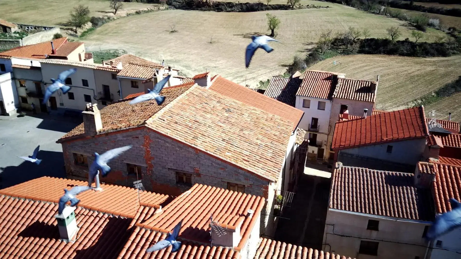 Rural Puebla de San Miguel