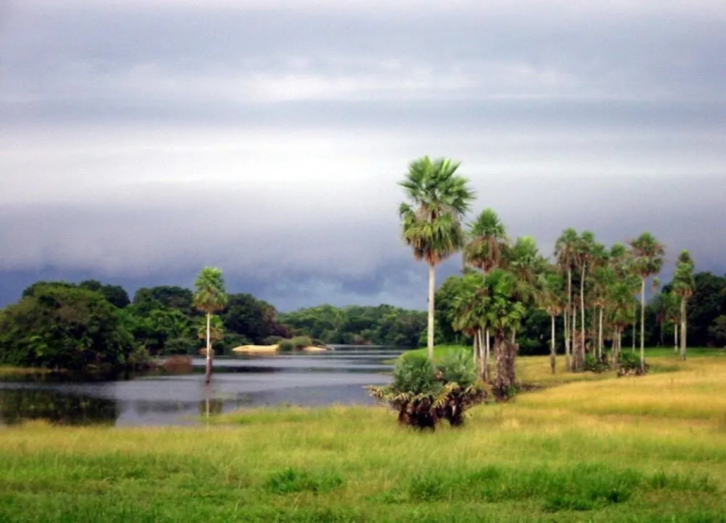 Fazenda Barranco Alto