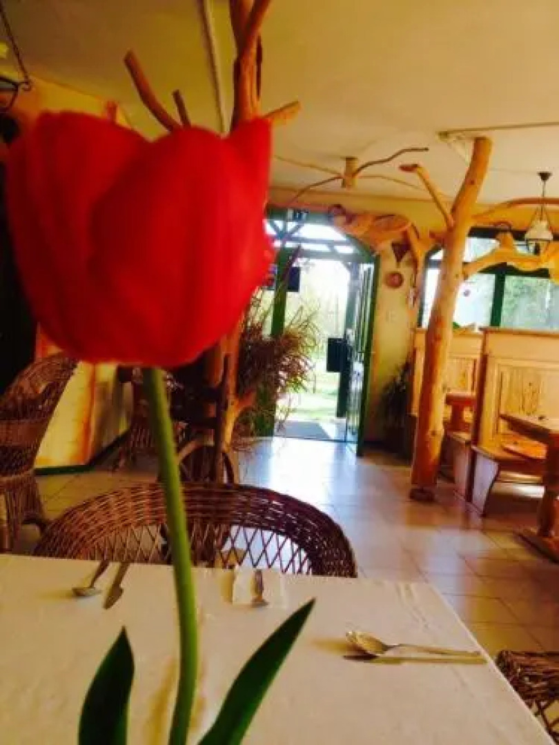 Fezőr Panzió és Étterem