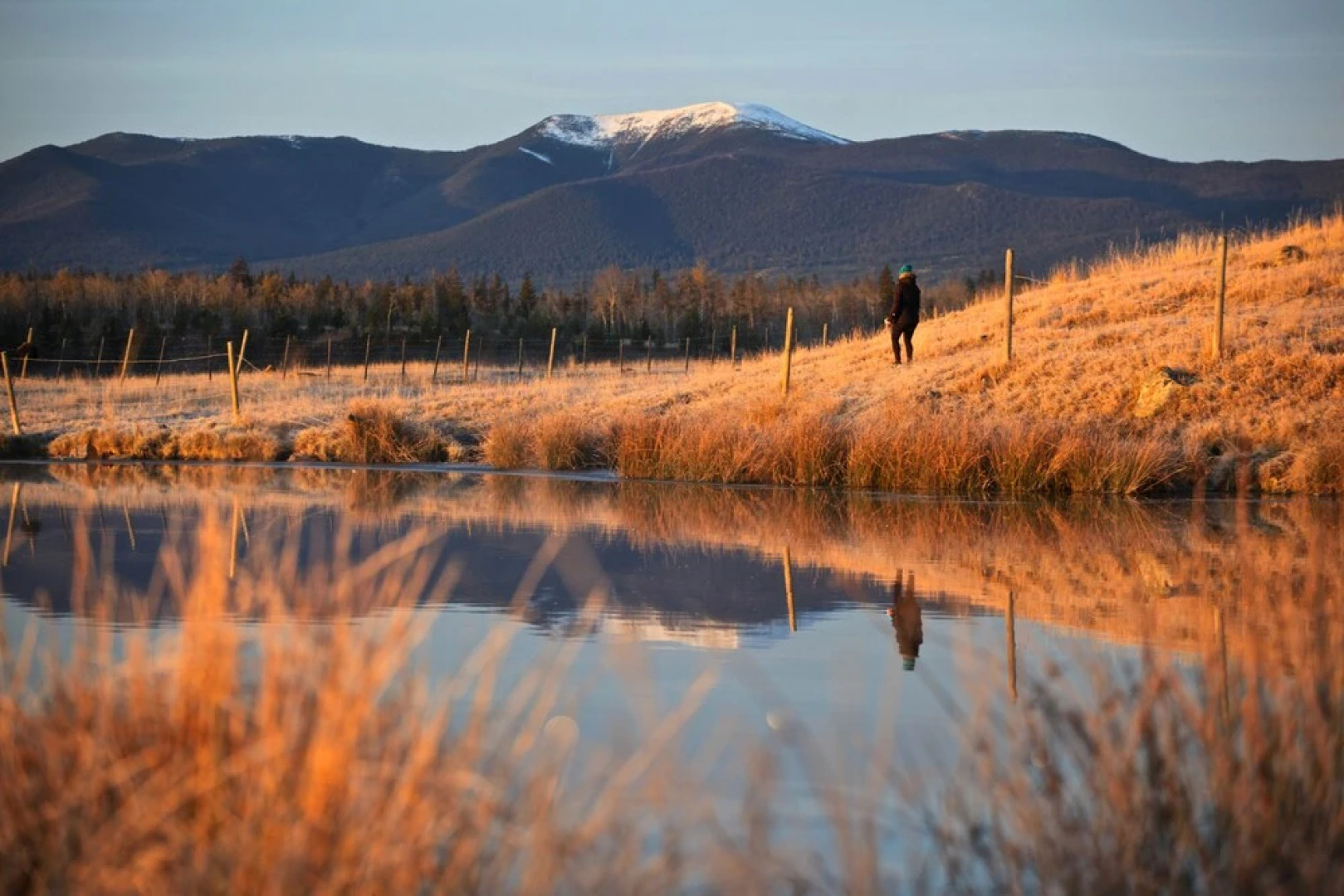 Meadow Lake Guest Ranch