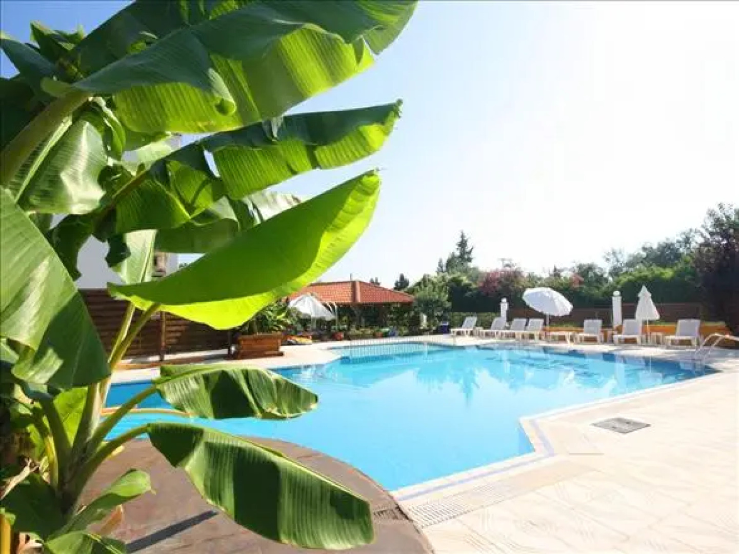 Leonidas Studio Apartments