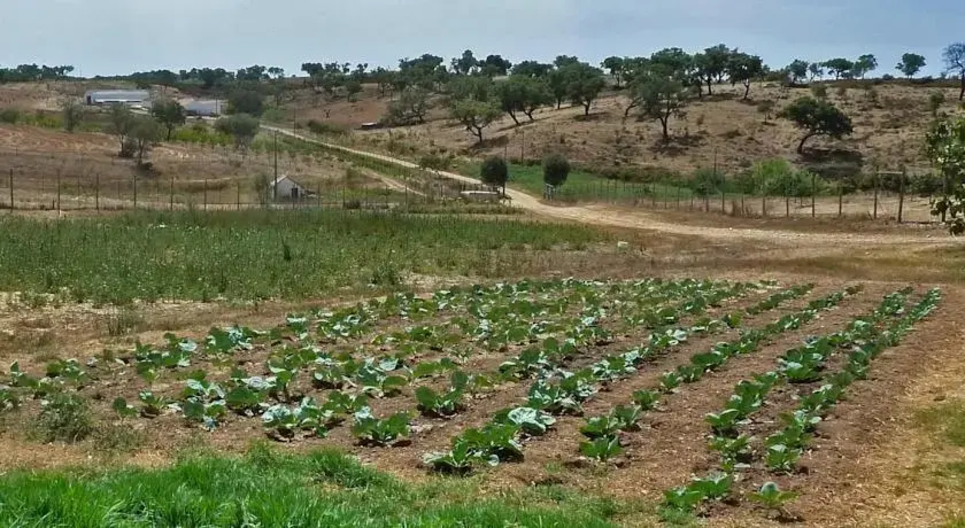 Serra Verde
