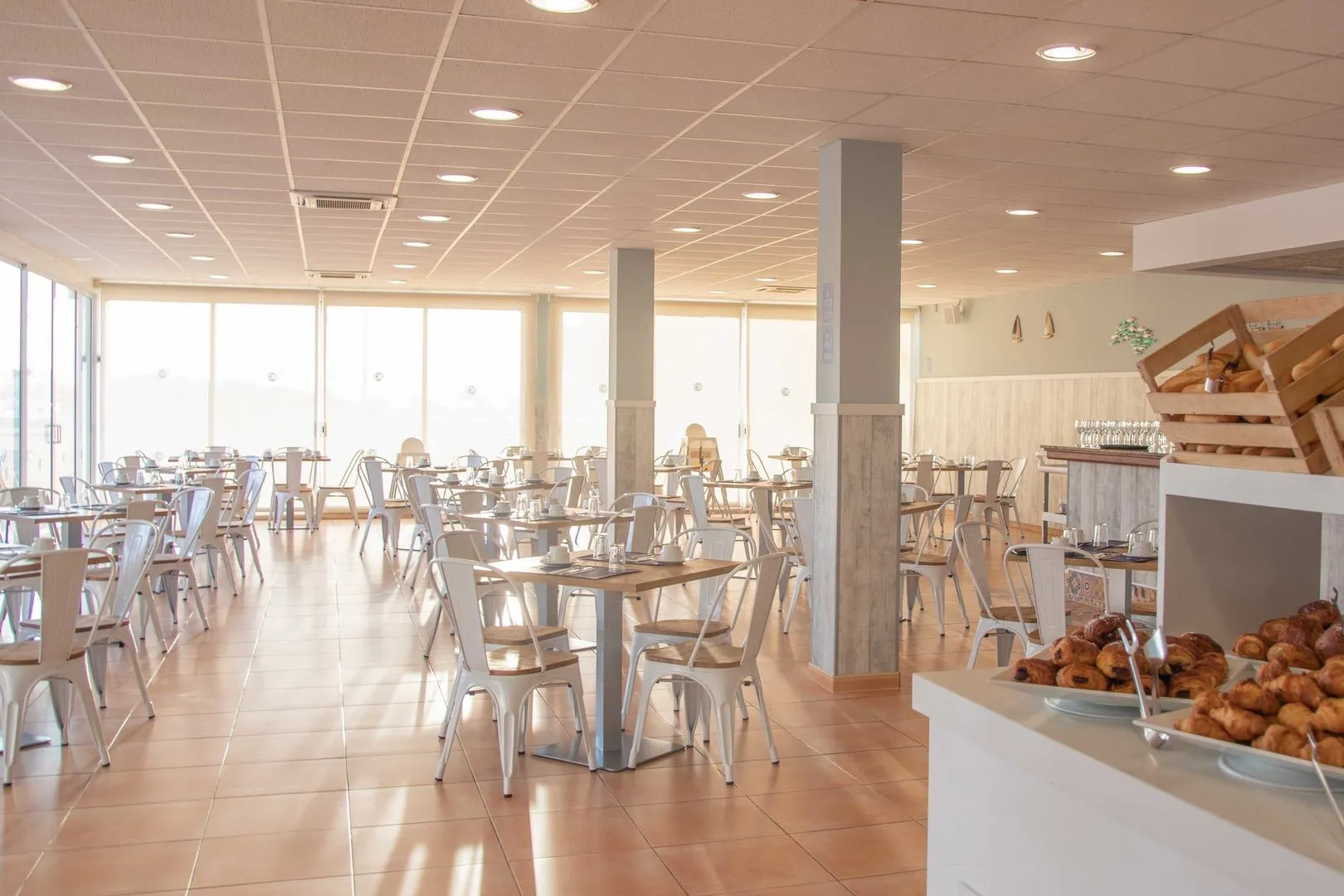 Comitas Isla del Aire