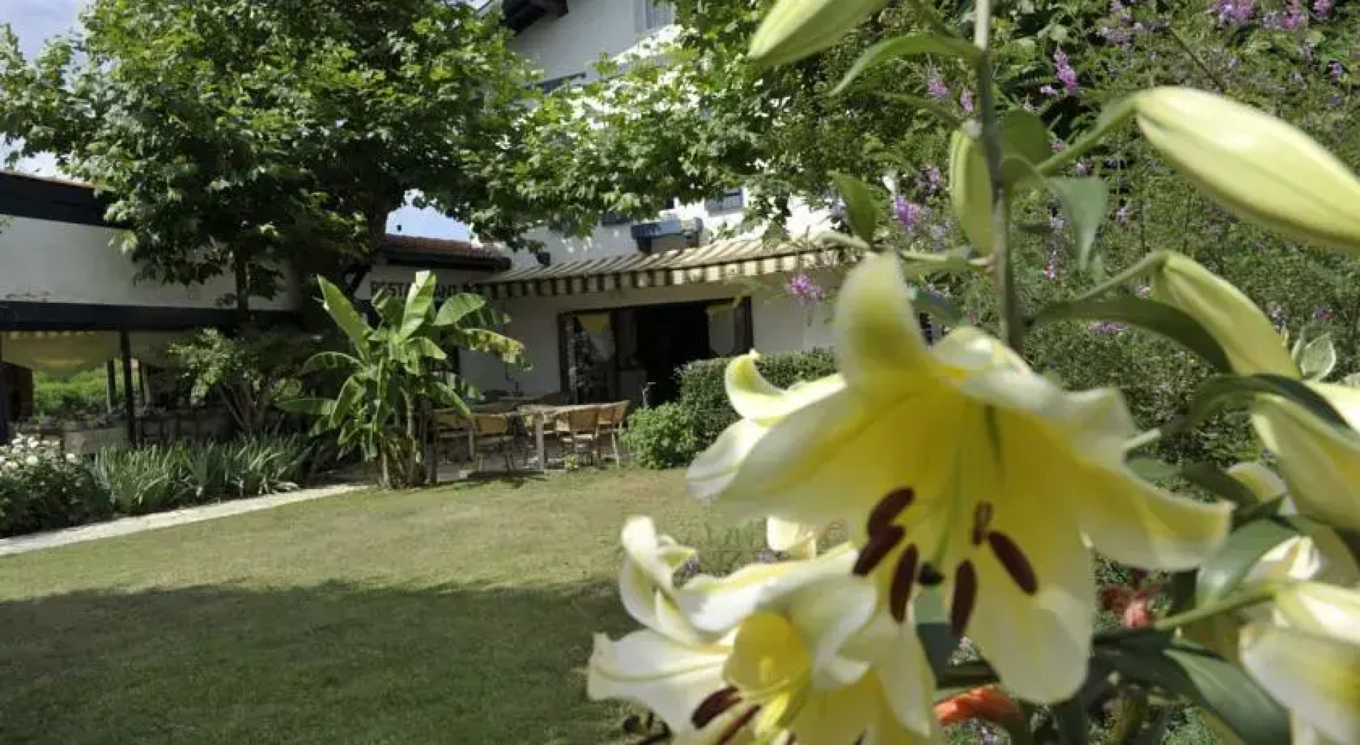 Abaca Ypua Hotel Restaurant