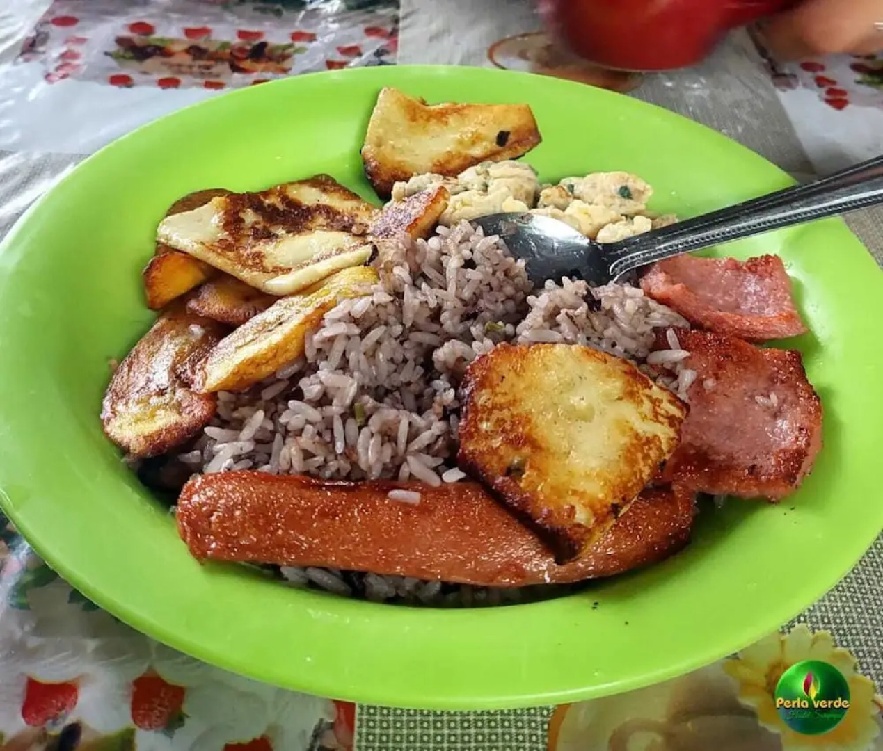 Perla verde hostel y tours en la zona