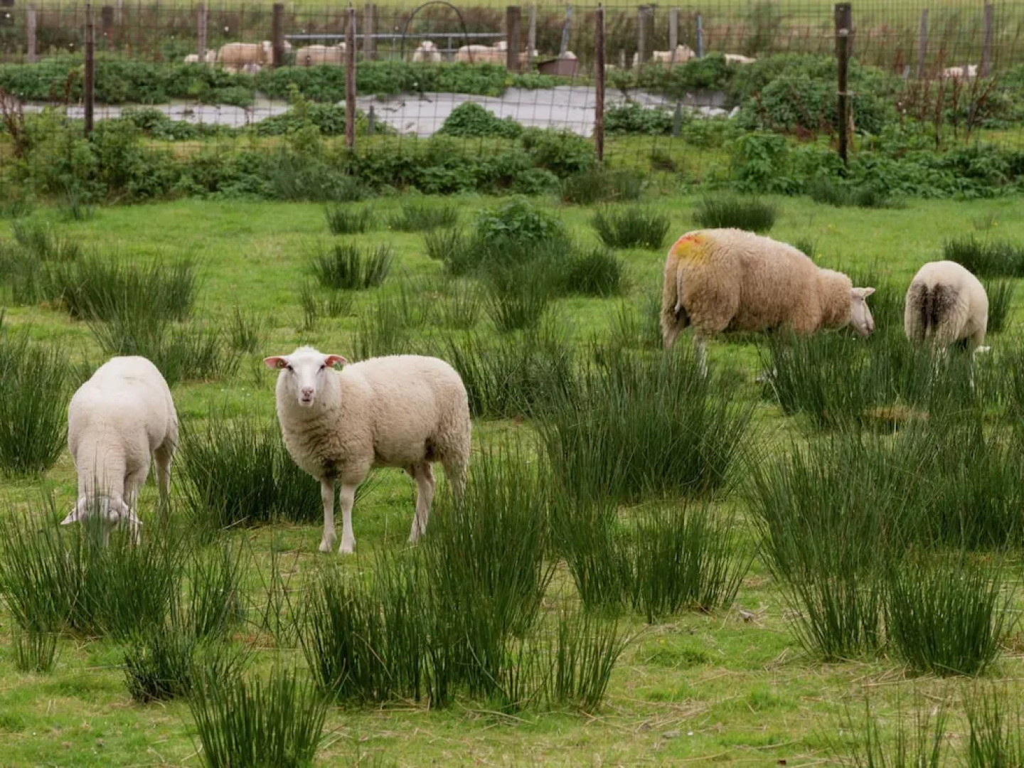 Quaint Apartment in Oosterend Terschelling near Sea
