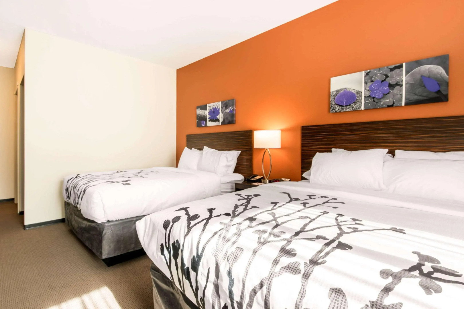 Sleep Inn & Suites Moab near Arches National Park