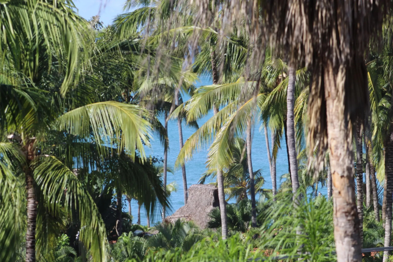 Hotel Villas Amalia