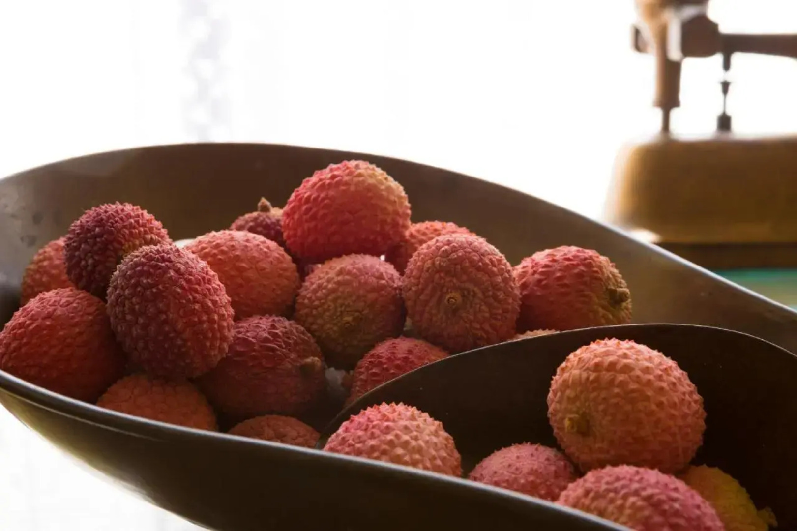 Shtarkman Erna Hotel