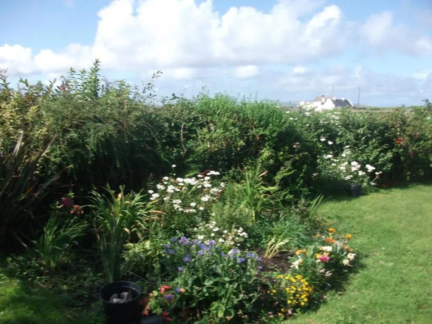 Fuchsia House Bed and Breakfast Connemara