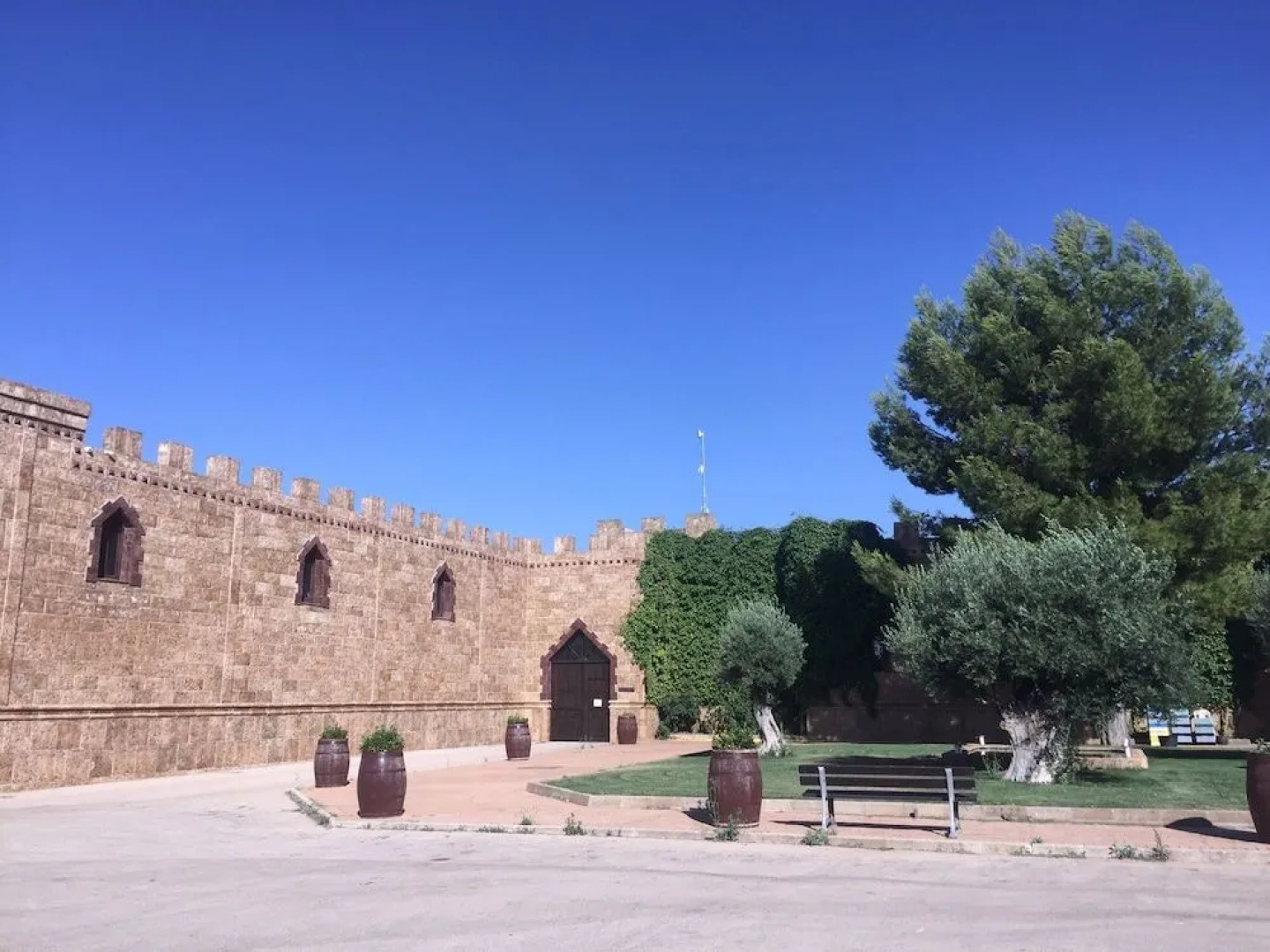 Hotel Viñedos y Bodegas El Castillo