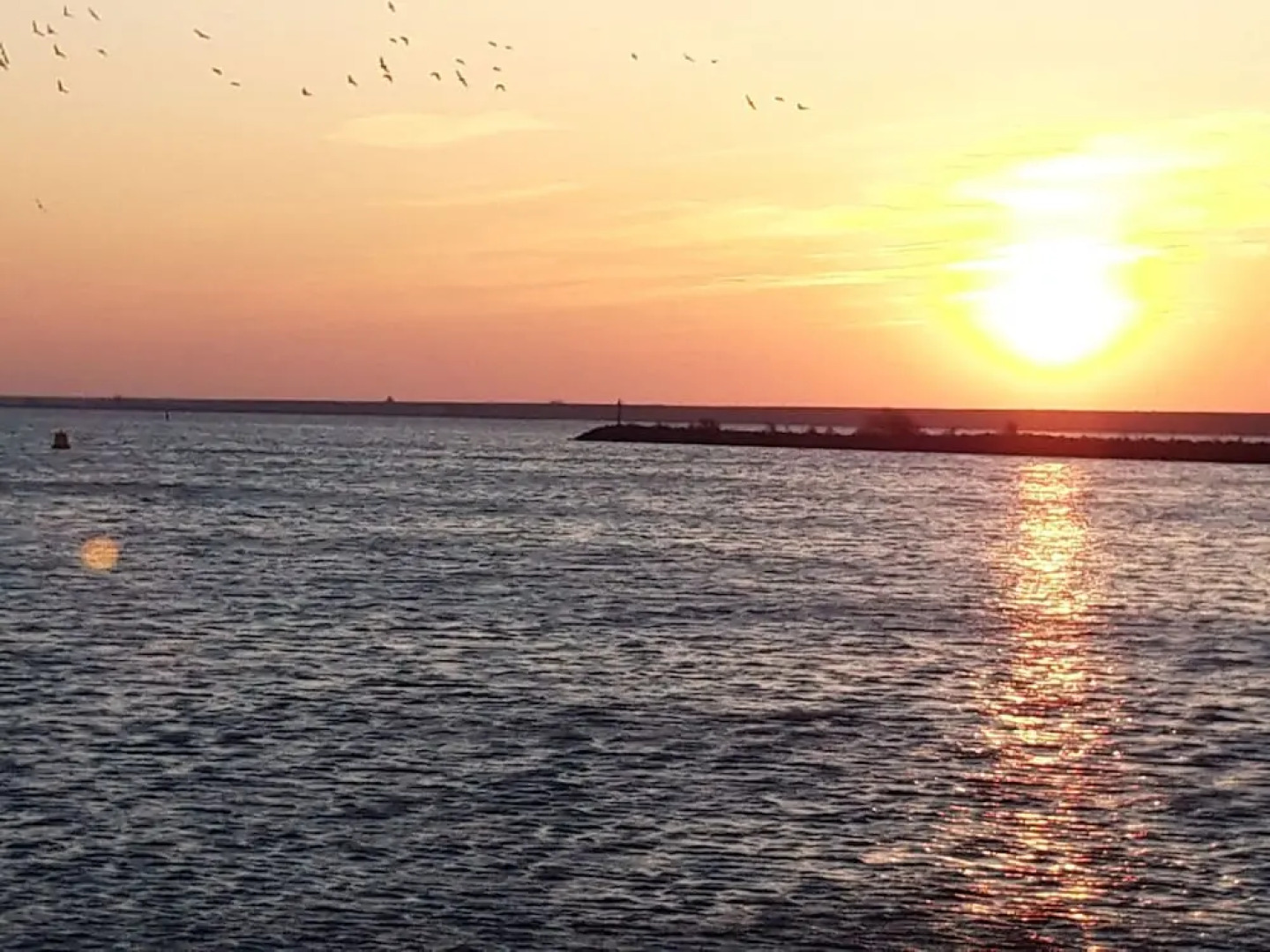 Cosy Holiday Home in Lauwersoog by the Lake