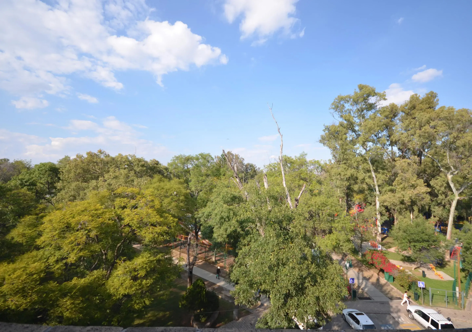 Hotel Diana del Bosque by DOT Urban