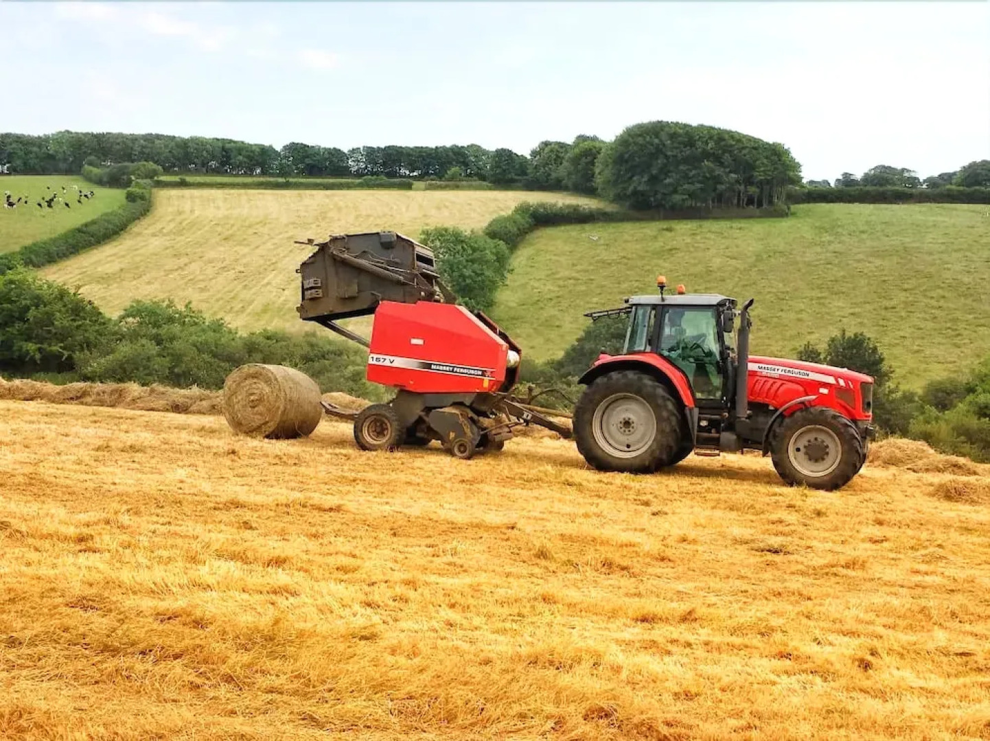 Higher Culloden Farm