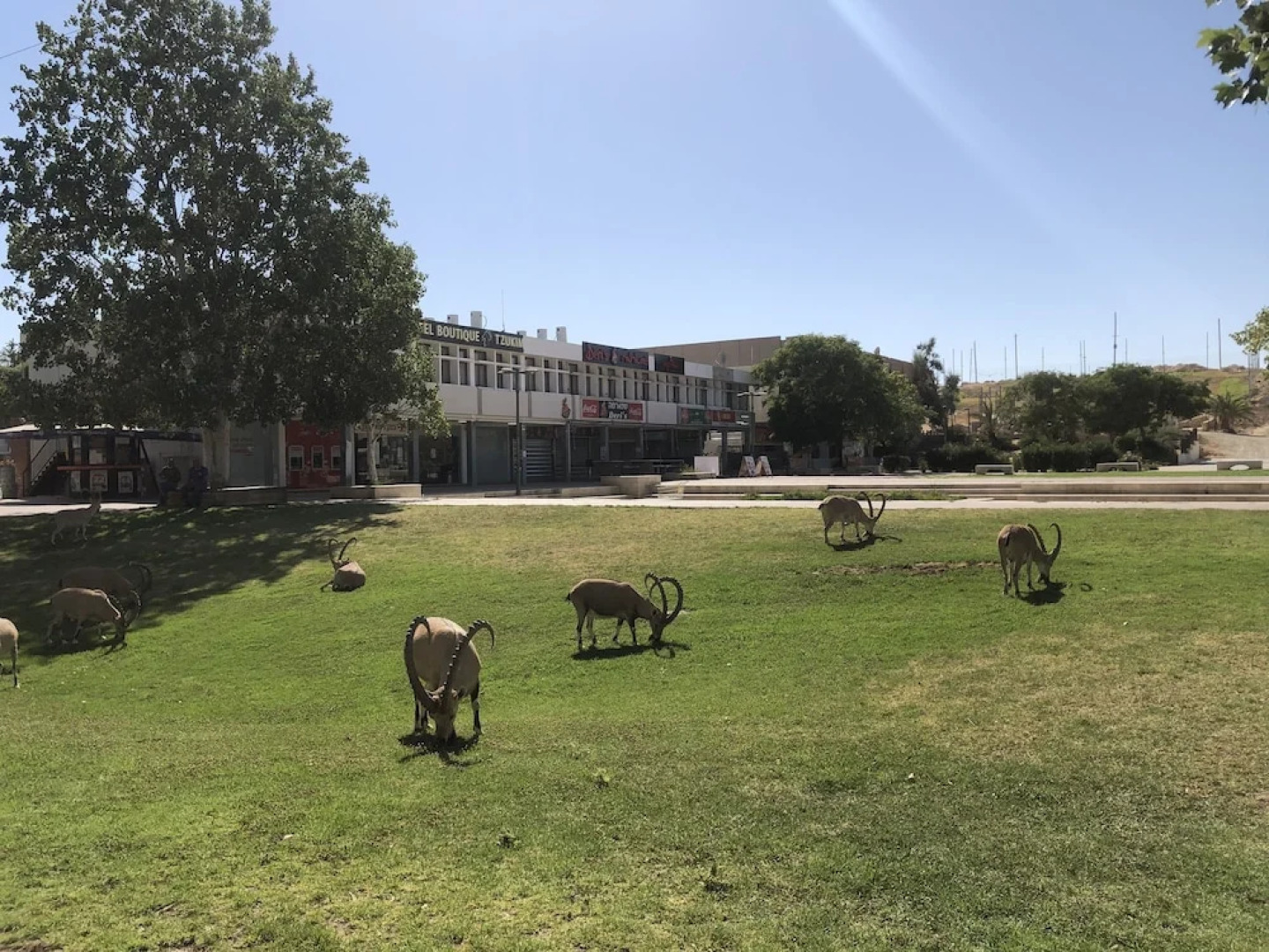 Boutique Hotel by Tzukim