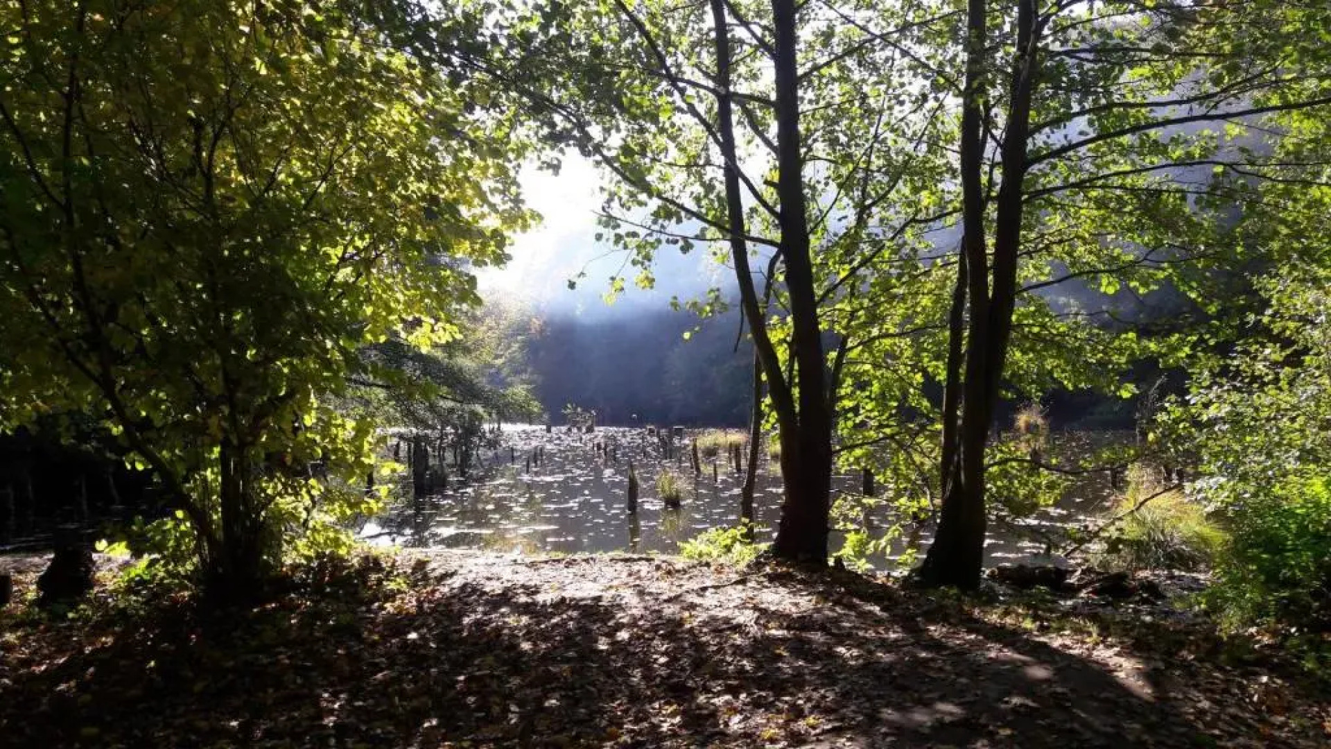 RP FitLife Stúdió és Vendégház