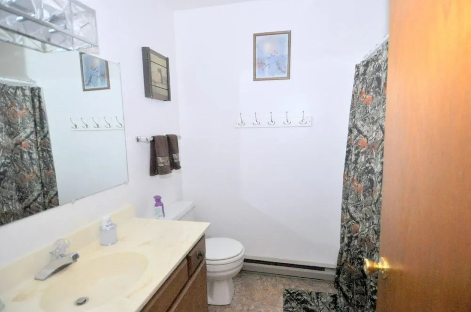 Chesnutt Cabin on the Cacapon River