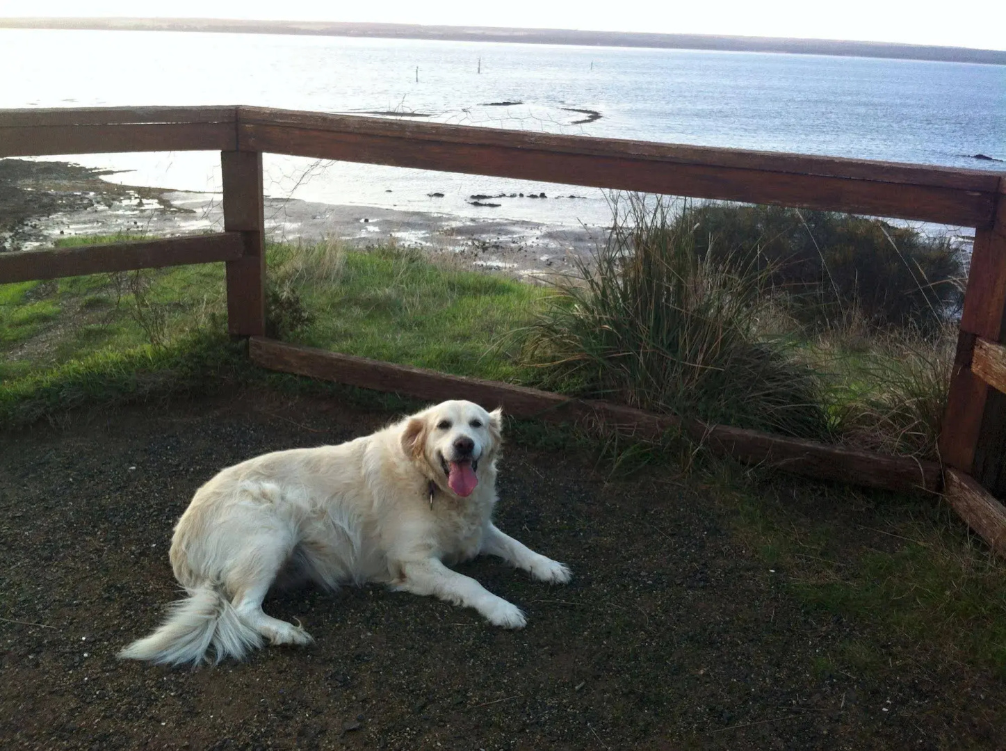 Corinella On The Esplanade Bed & Breakfast