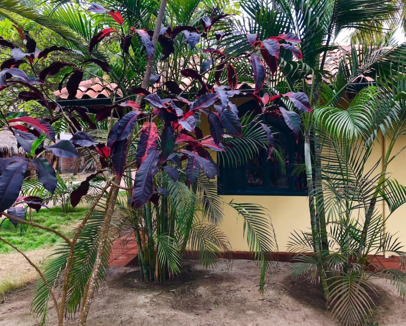 CanoaOasis Private, exclusive estate, 1 acre tropical paradise, directly on private beach area