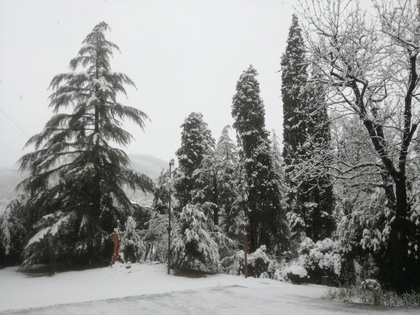 Corte San Ruffillo-Azienda Agrituristica