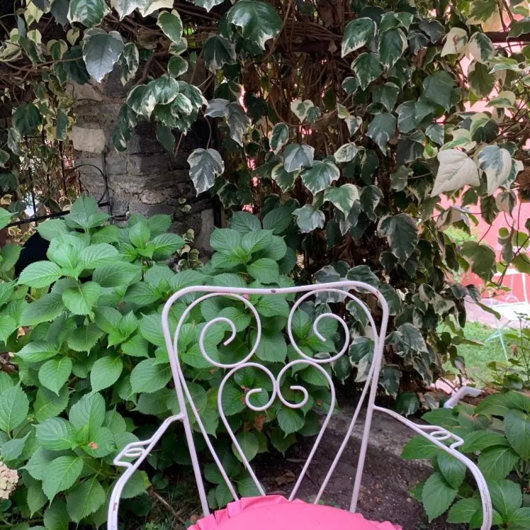 THE SECRET GARDEN ARONA VILLA in Piazza del Popolo 16 Historical Center