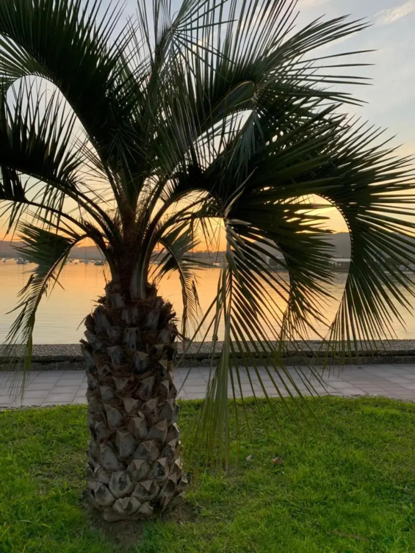 Les Hauts de Biantenia Avec Wifi