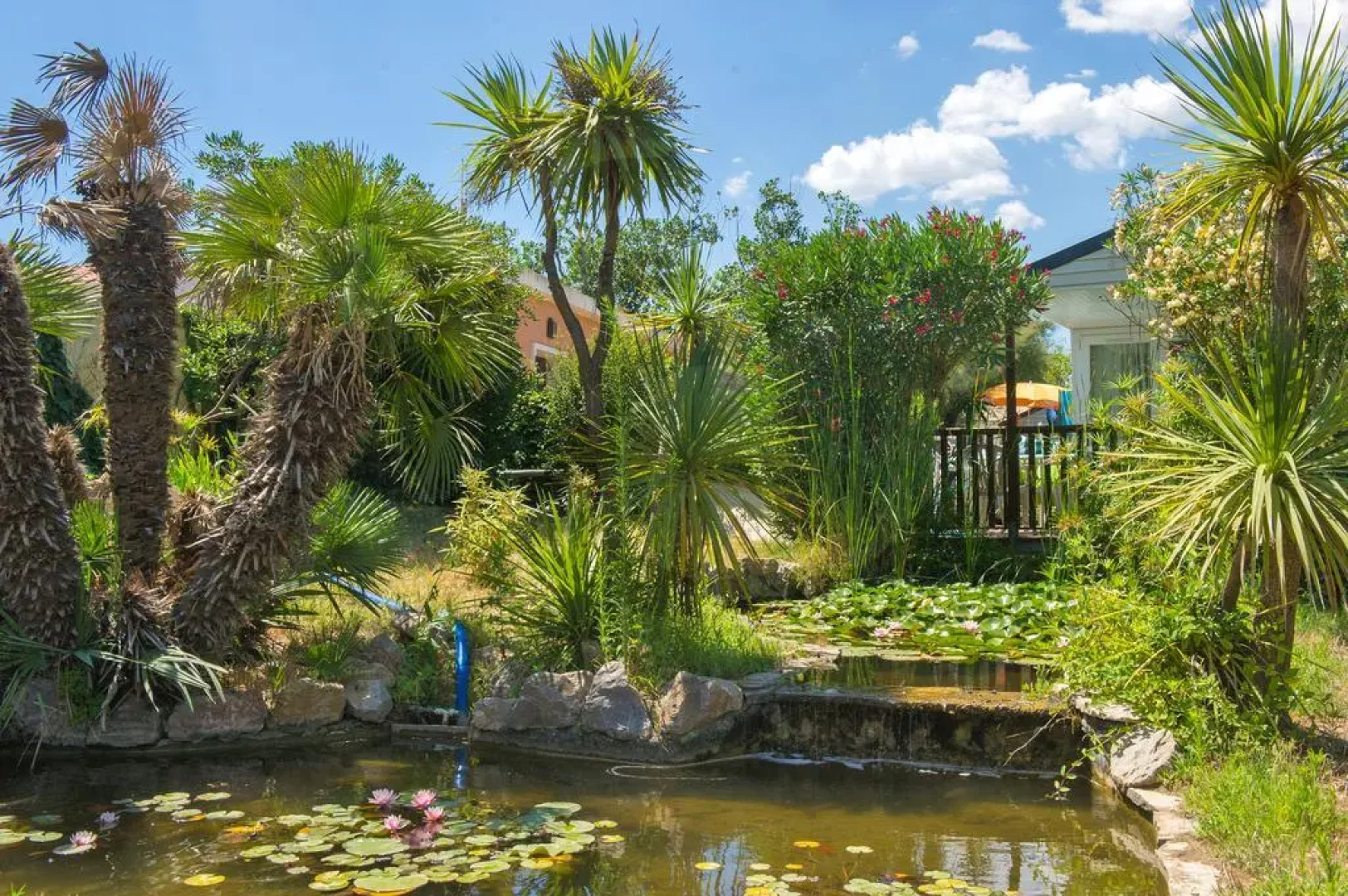 Camping Le Petit Mousse