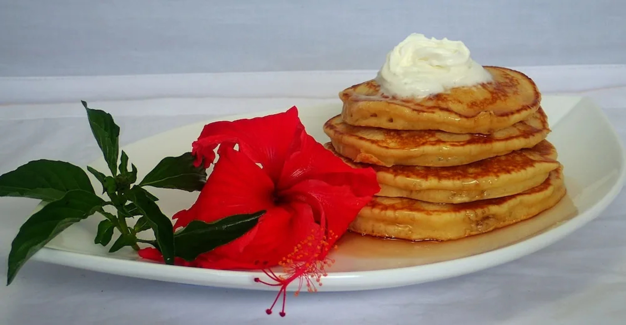 Tangkoko Sanctuary Villa & Spa