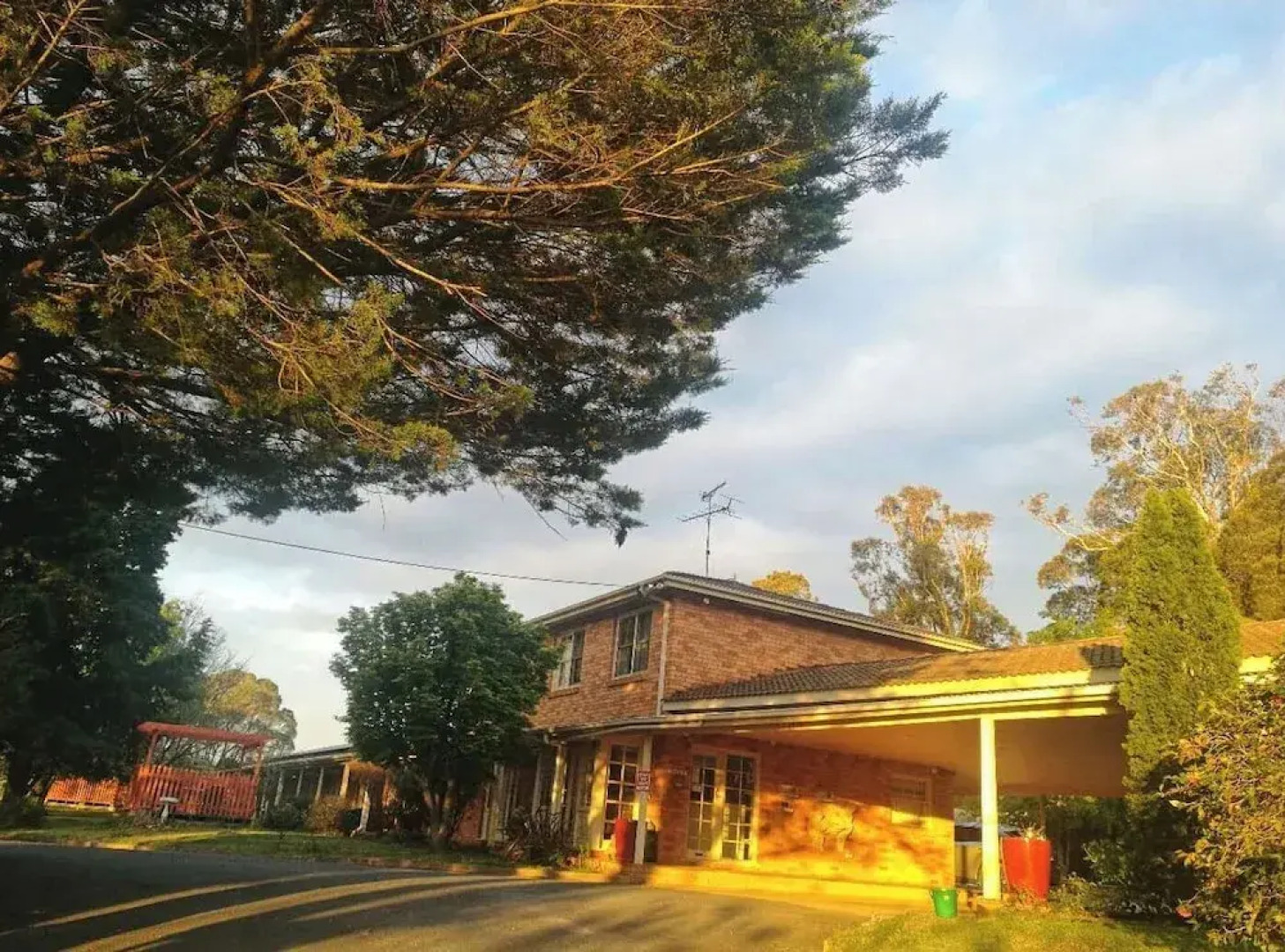 Poplars at Mittagong