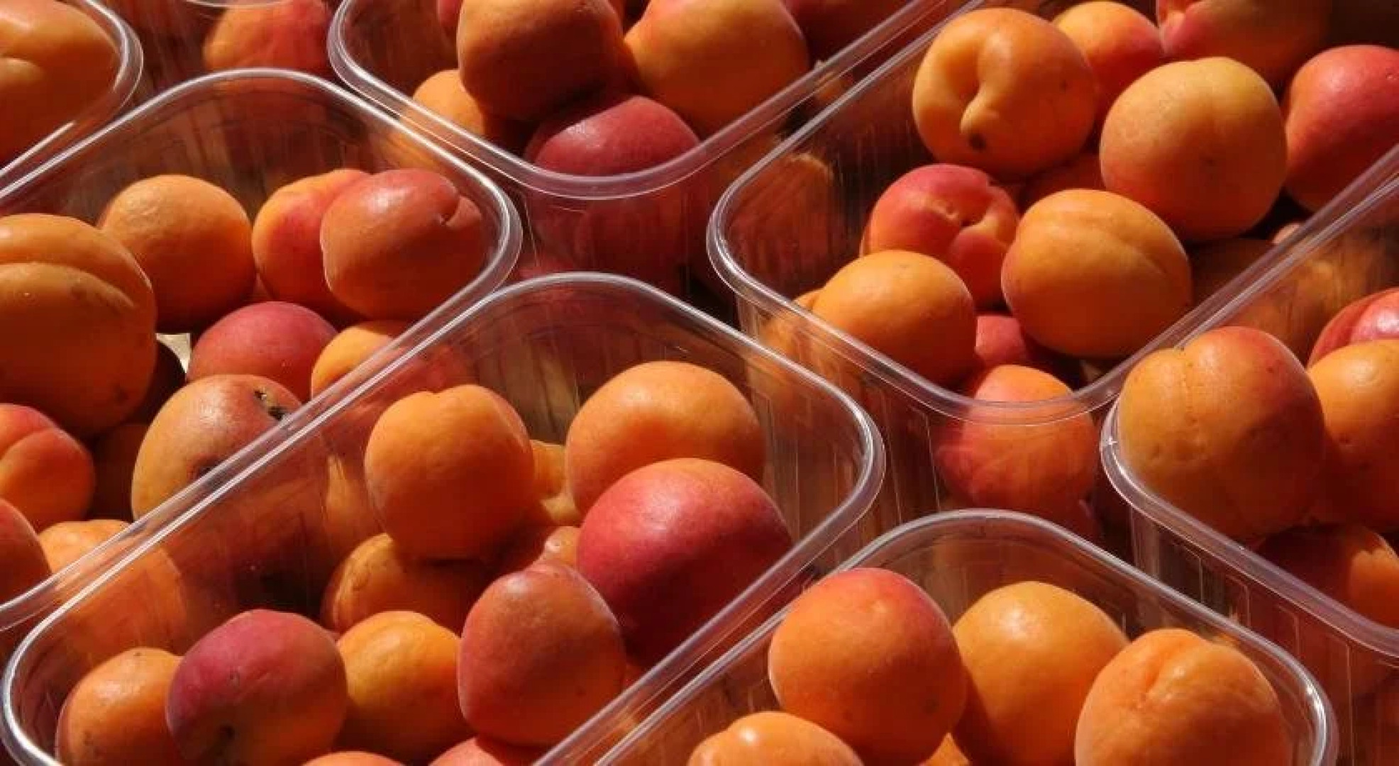 Gästehaus Weinbergblick