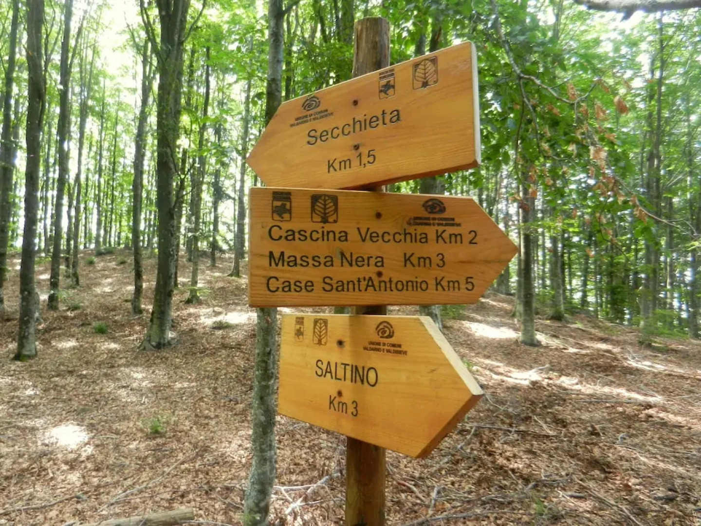 Отель Rifugio La Foresta