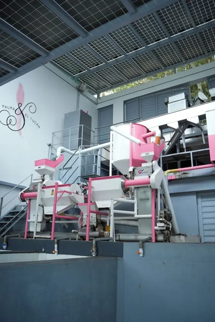 Hotel La Palma y El Tucan - Coffee & Nature