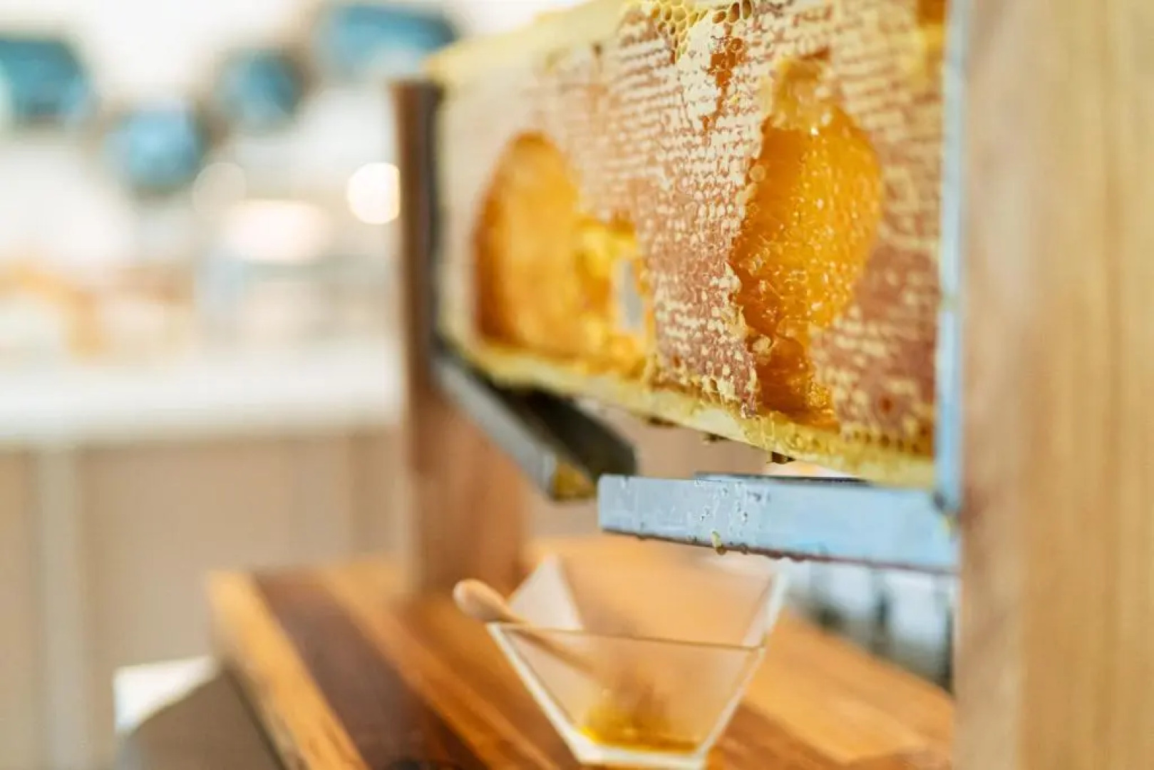 Isola di Albarella Hotel Capo Nord