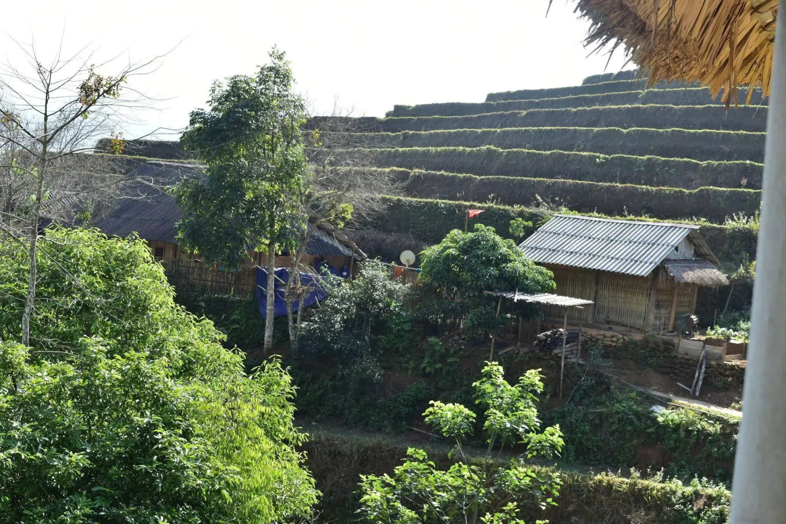 Thong Nguyen Homestay - Hostel