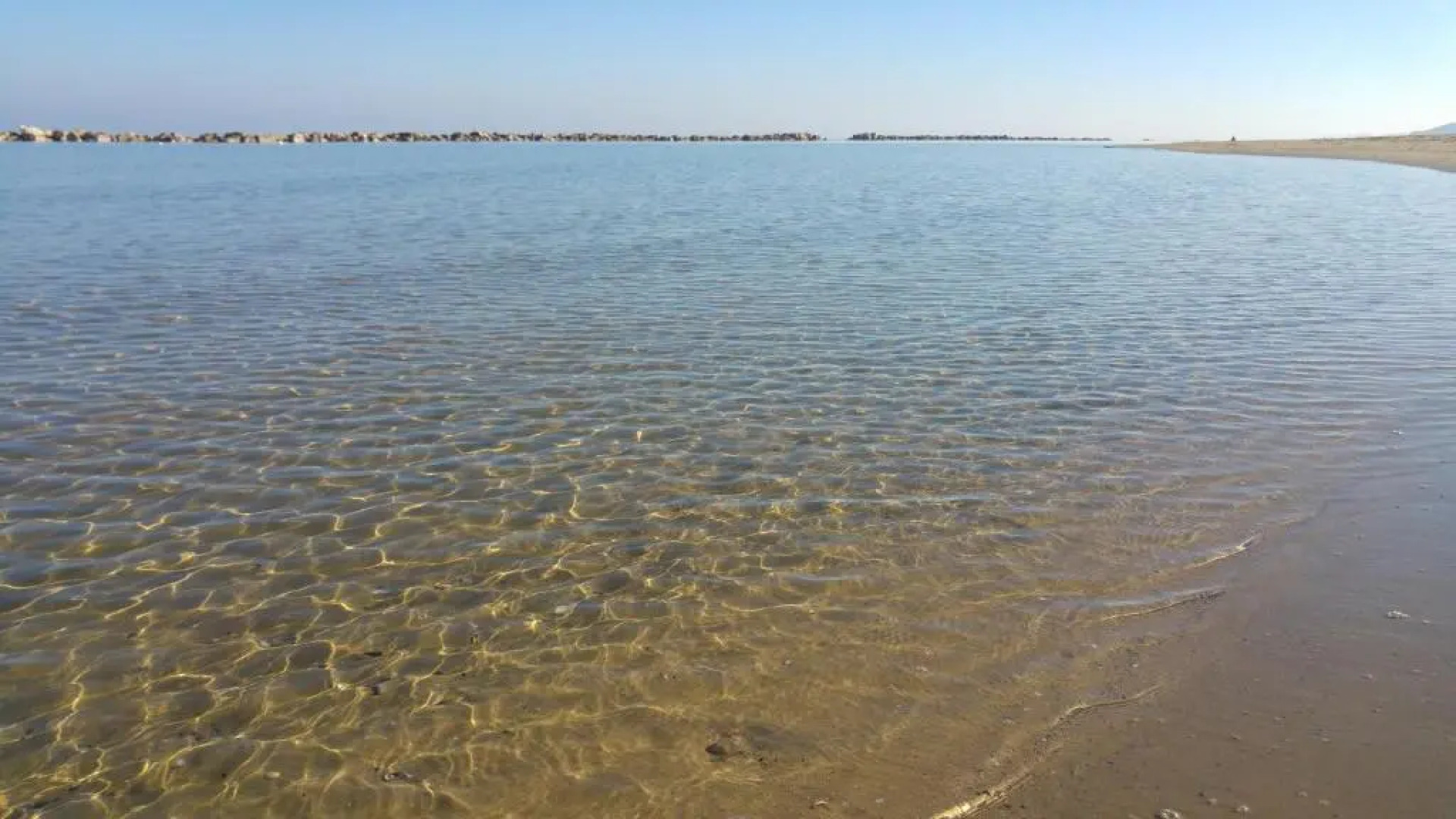 Il Giardino Fra Gli Ulivi