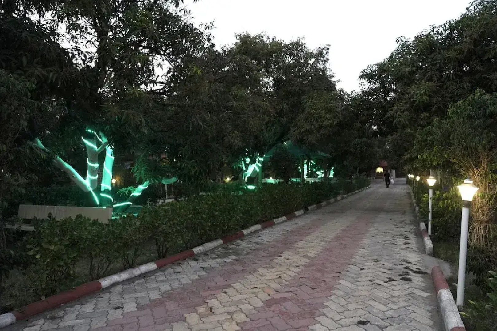 Aarambh Jungle Vista Resort, Gir