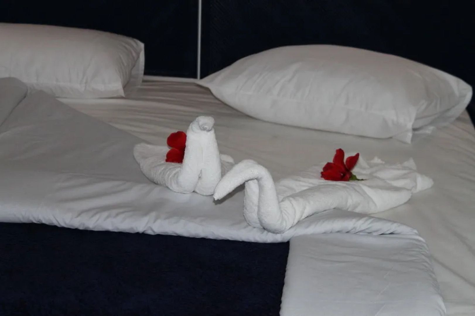 Holidays Express Panorama Resorts