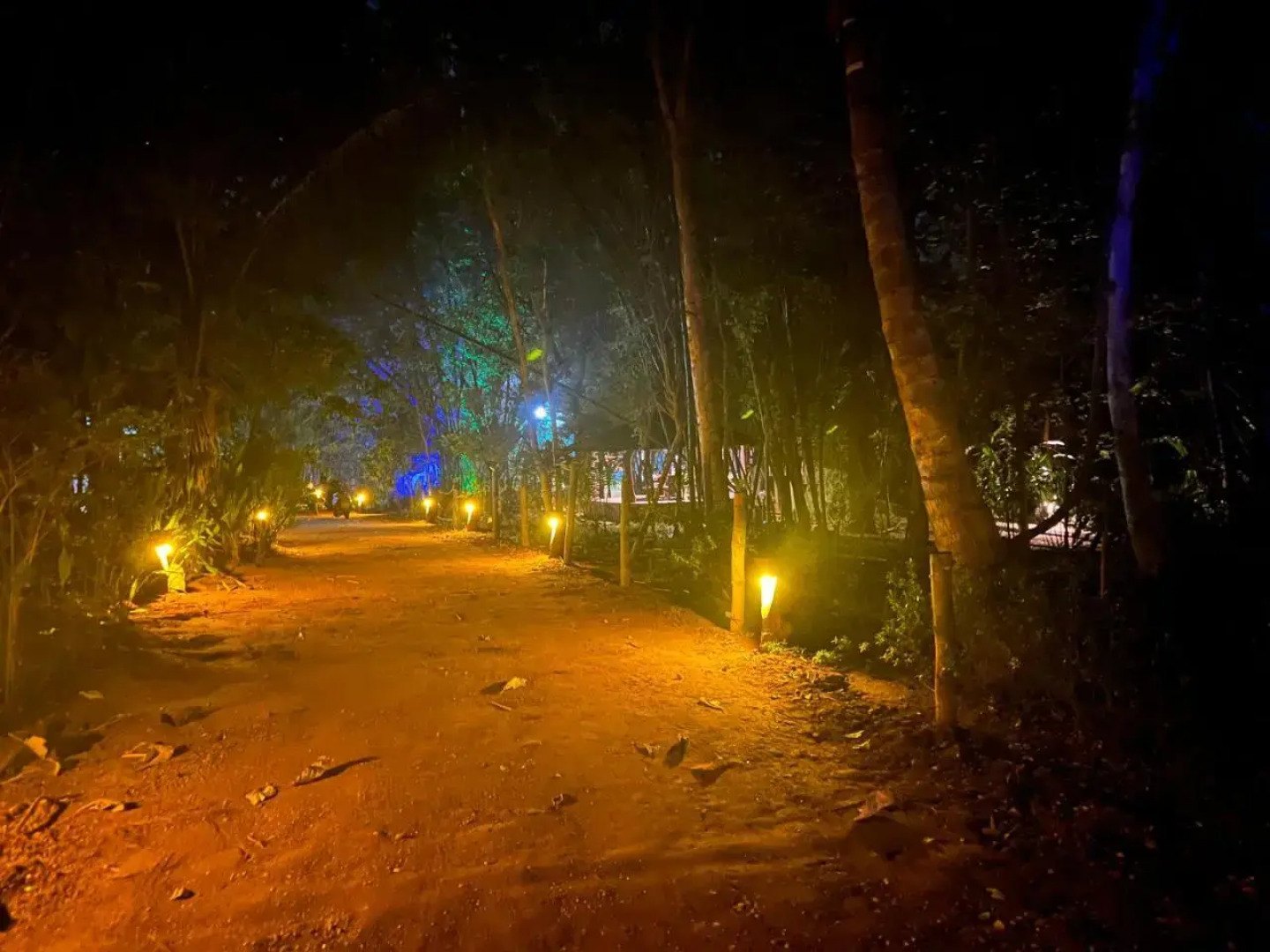 Walawa Blue Sapphire