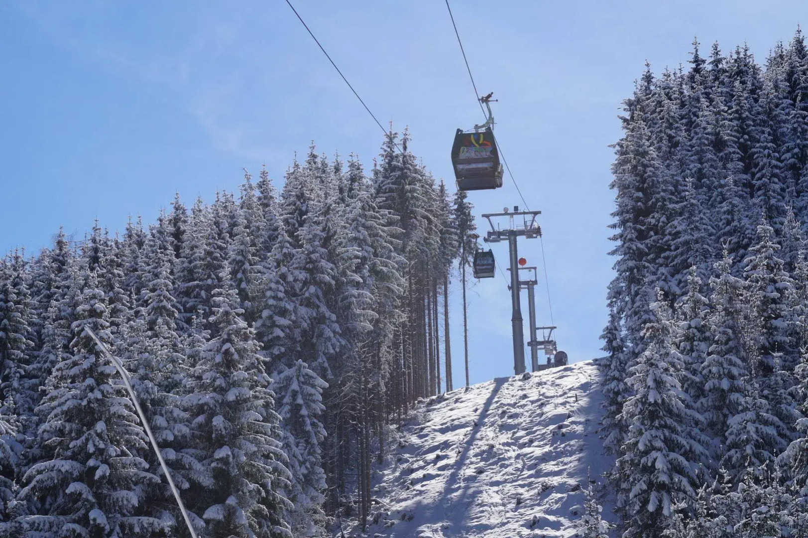 Hotel Wenger Alpenhof