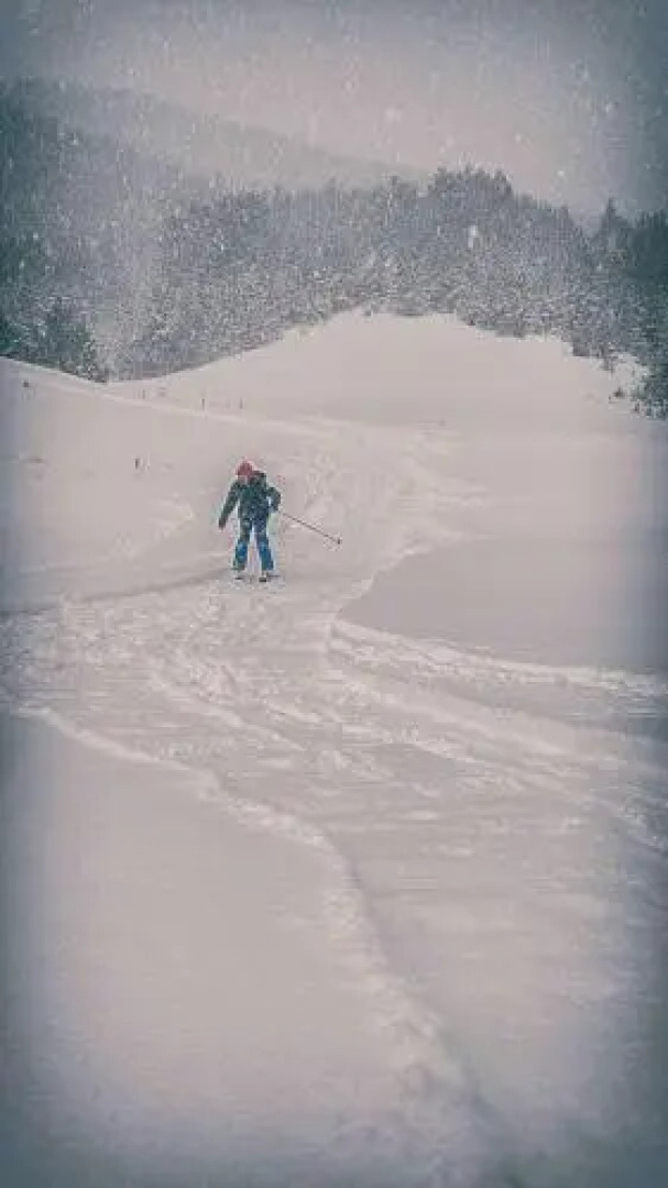 Ethno Bungallows Boškova Voda