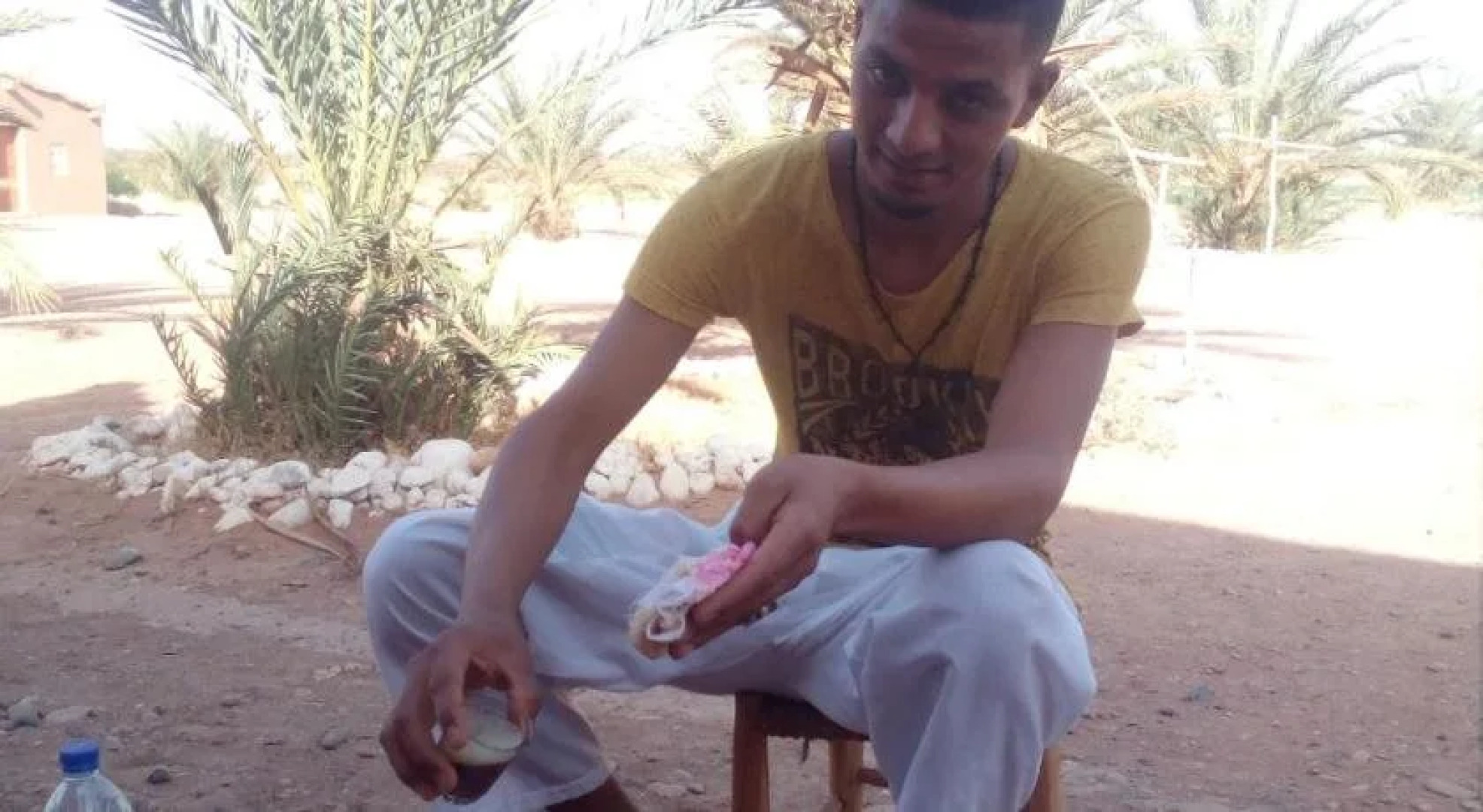 Camping Les Palmeraies