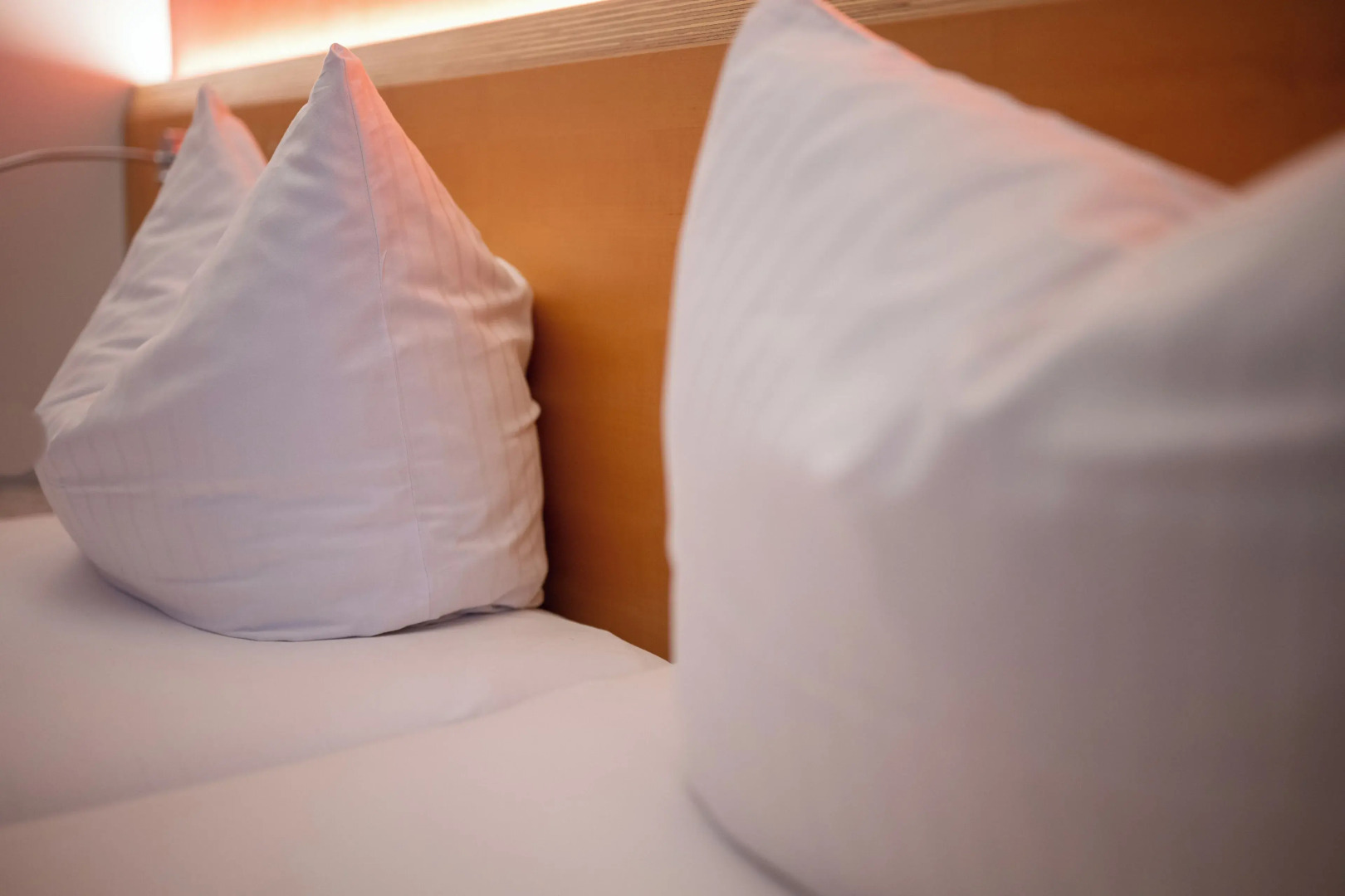 Schäfle Feldkirch-Altenstadt