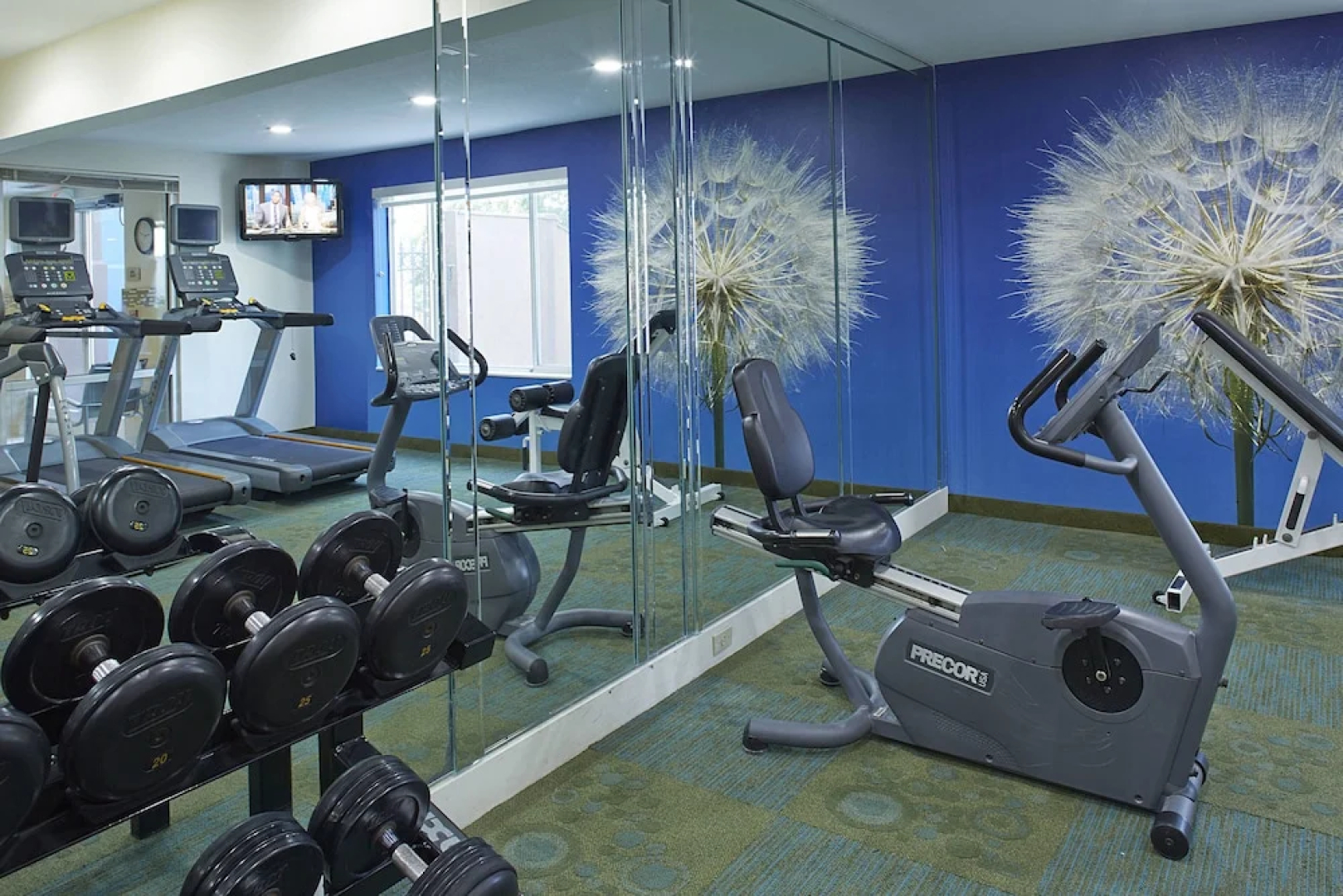 Springhill Suites Atlanta Six Flags