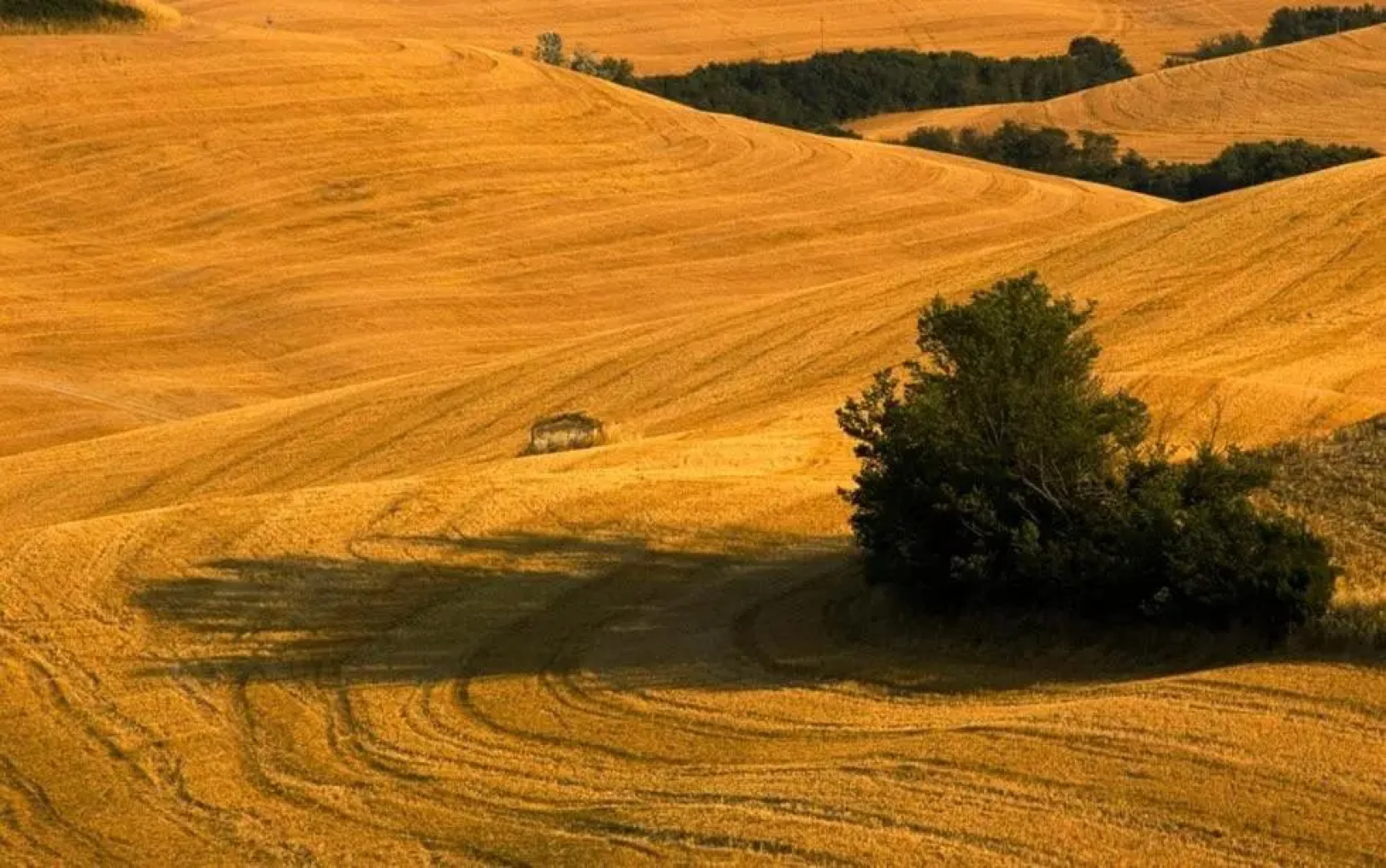 Agriturismo Villa Montaperti