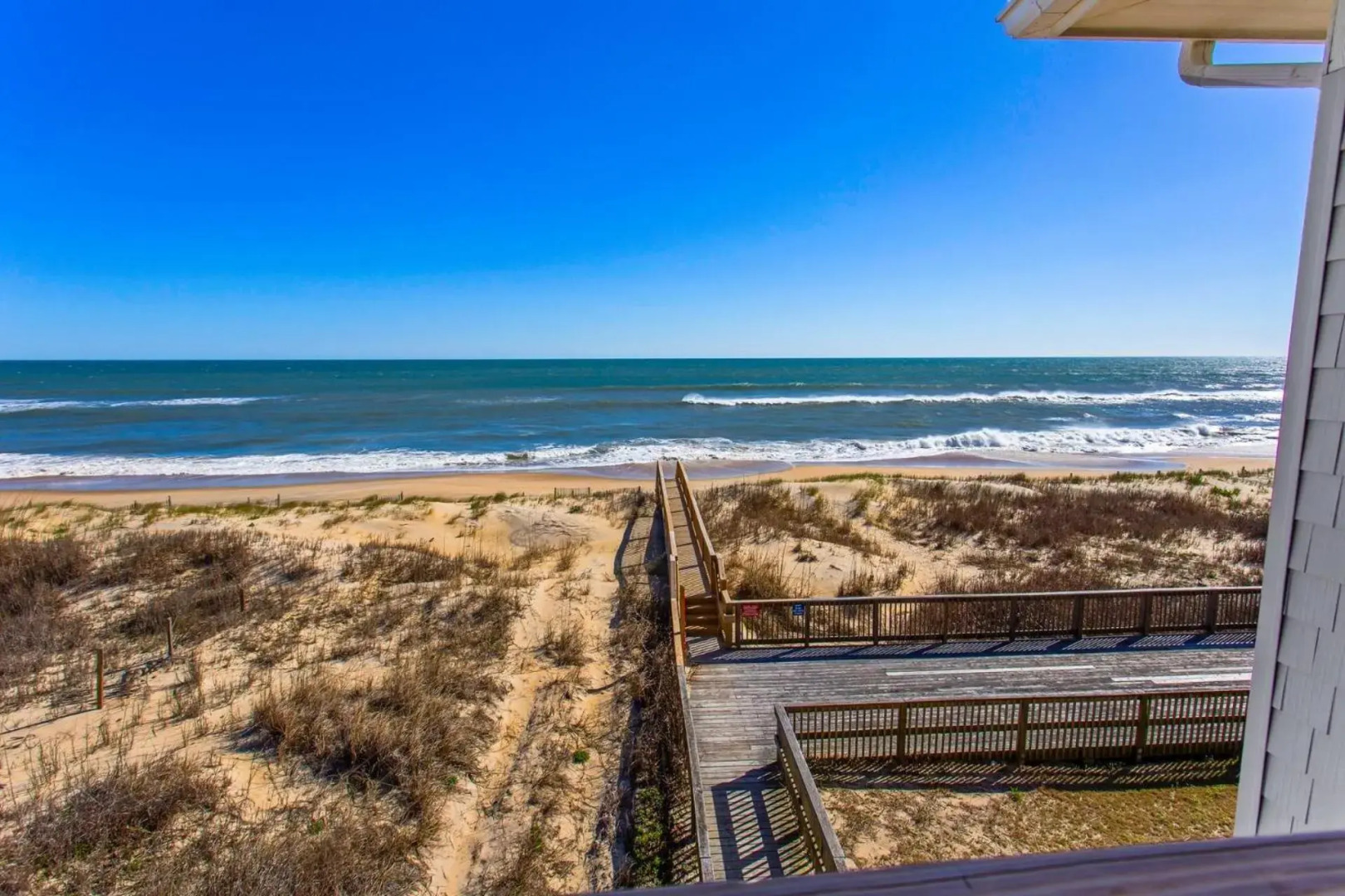 YC301 - Life's Porpoise