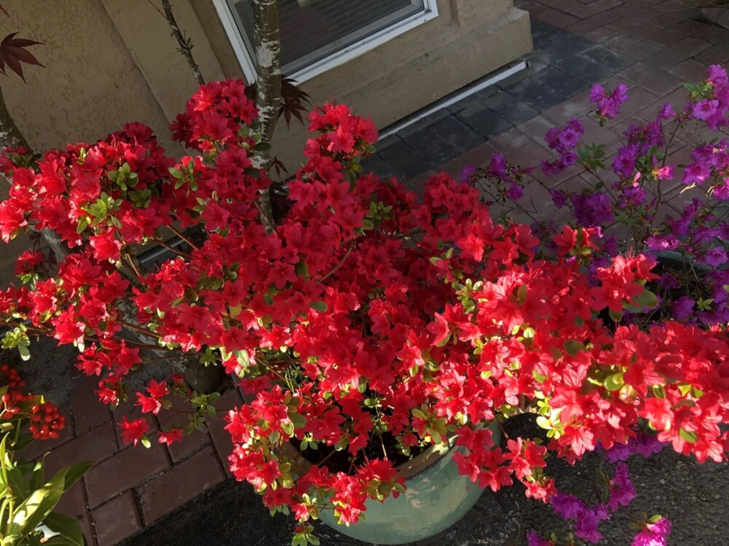 Charming Family Hotel