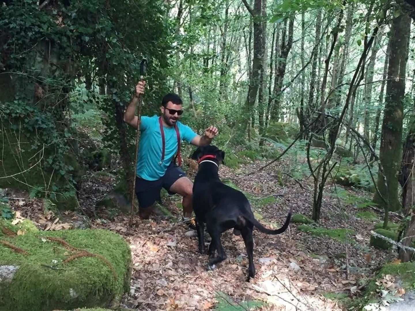 Casa da Viña (Casdosteo - Ourense)