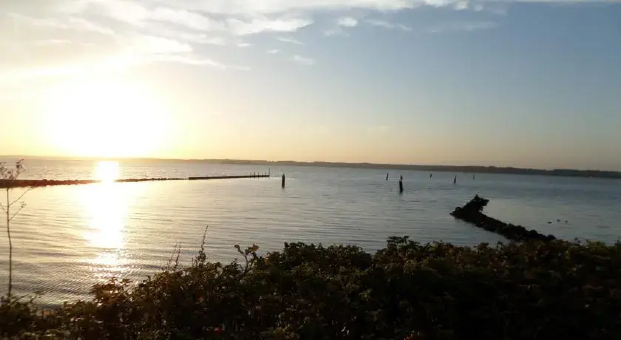 Meeresbrise Schausende