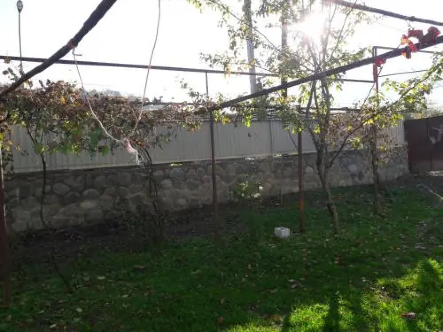 guesthouse in ambrolauri