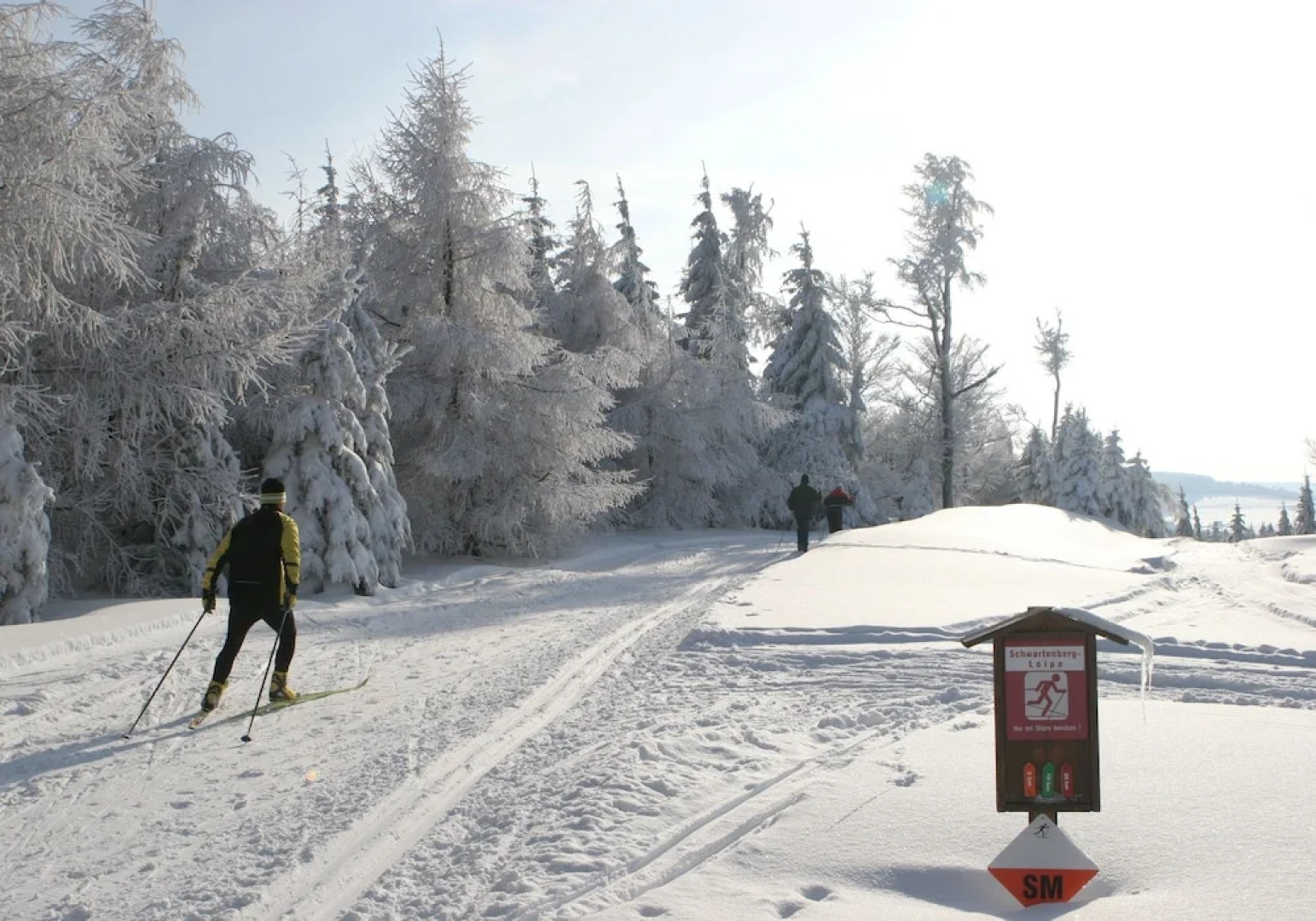 Buntes Haus Seiffen - Hotel Erbgericht